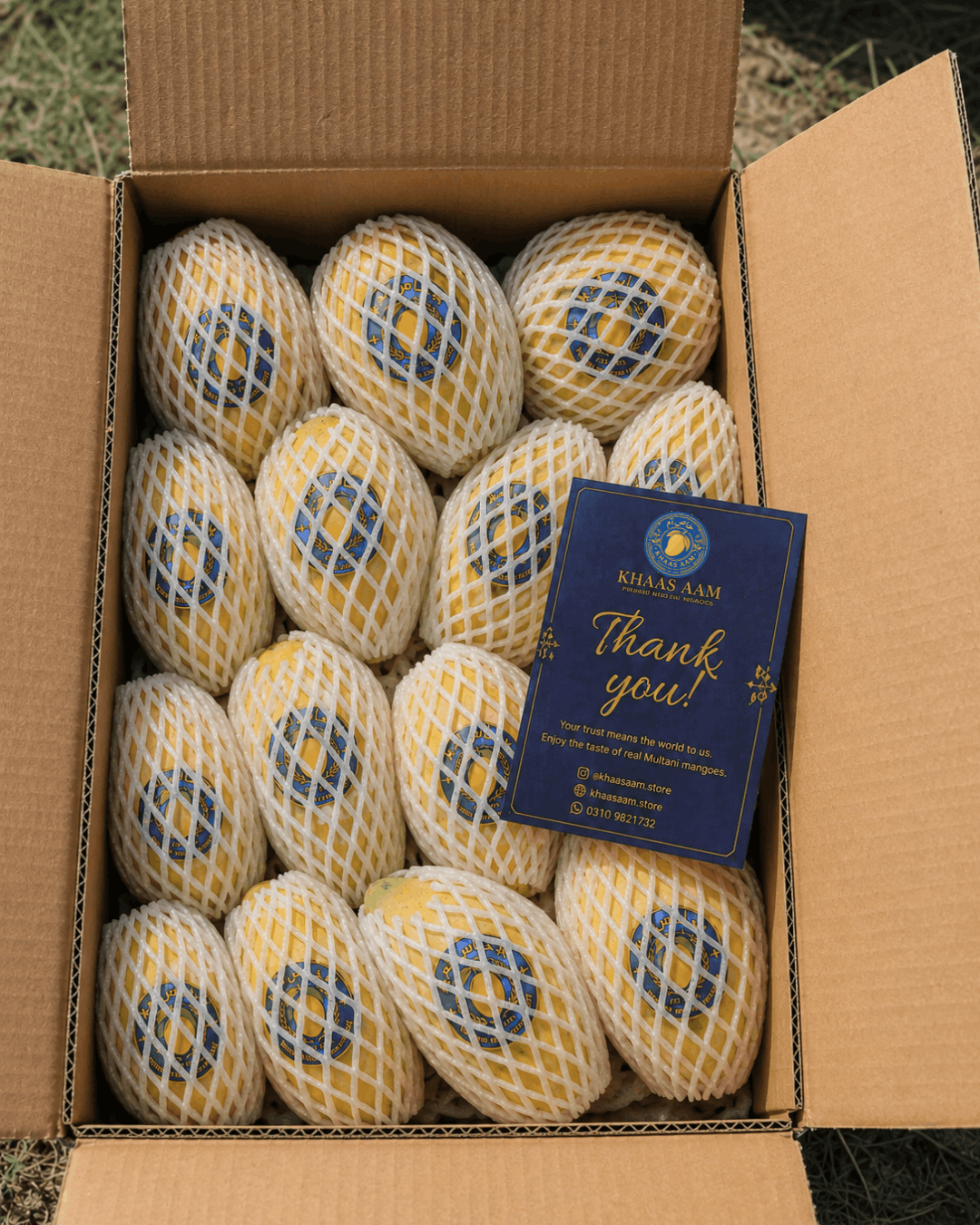 Premium Multani White Chaunsa (سفید چونسہ)